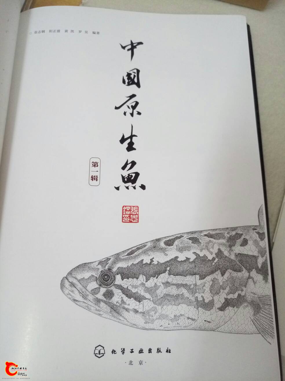 142442thjvze71dudcdl77.jpg