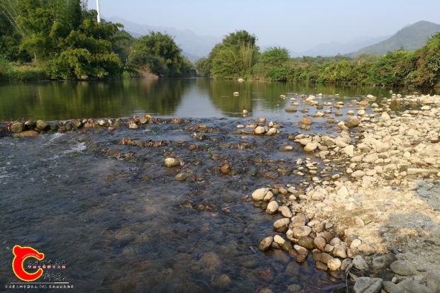 IMG_20170109_162108.jpg