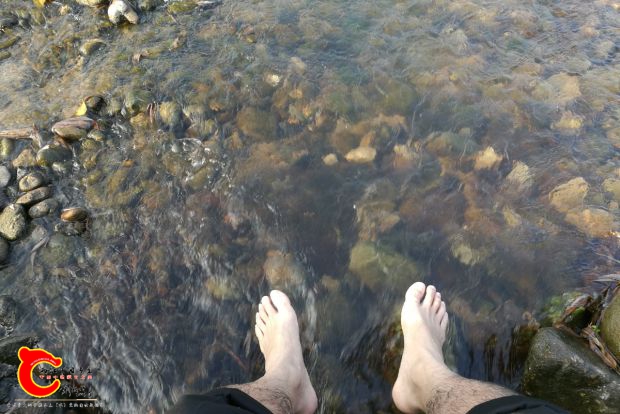 IMG_20170109_162041.jpg