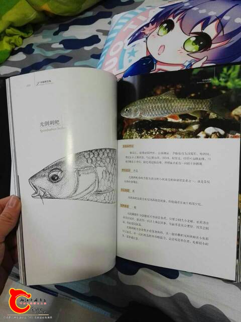 135552bt8l83s8gzqfq3ds.jpg