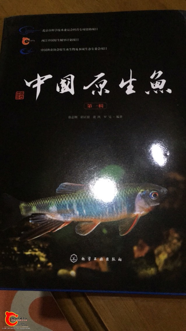 095824sy59wyyqus7ojqyo.jpg
