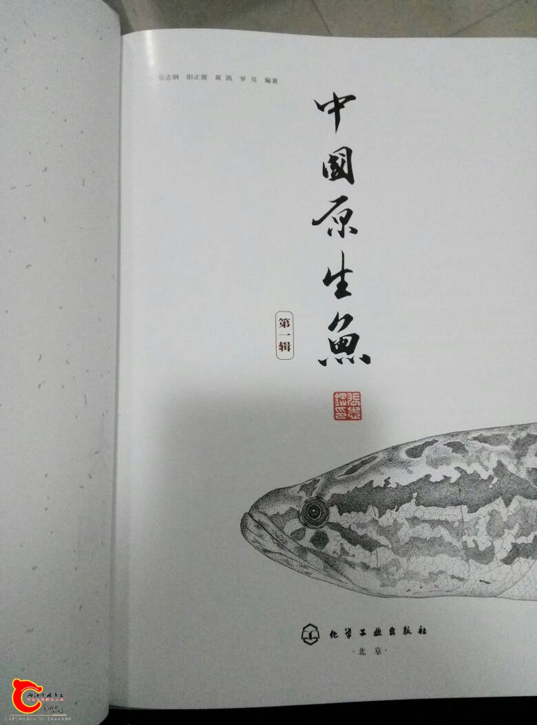 192052icoz7f77s4syjdxz.jpg