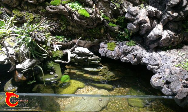 IMG20170216231029.jpg