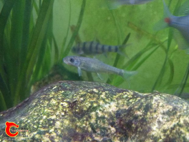 IMG_20170224_153429_1_看图王.jpg