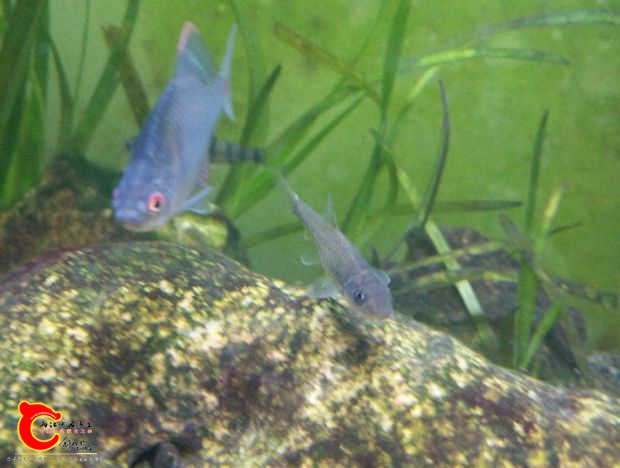 IMG_20170224_155403_看图王.jpg
