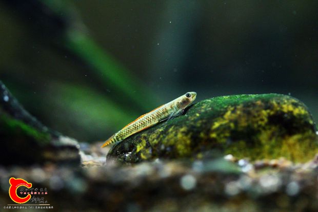 IMG_4627_副本.jpg