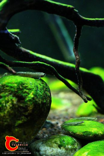 IMG_5161_副本.jpg