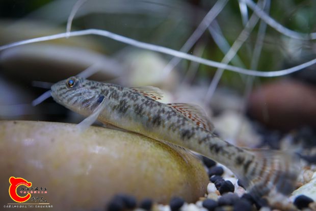 nEO_IMG_DSC05599.jpg