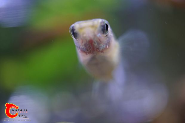nEO_IMG_DSC05603.jpg