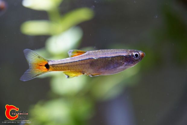 nEO_IMG_DSC05617.jpg