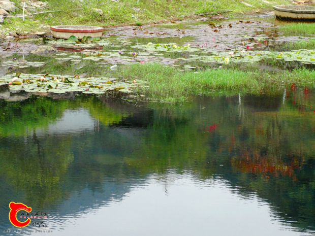 DSC03864.JPG