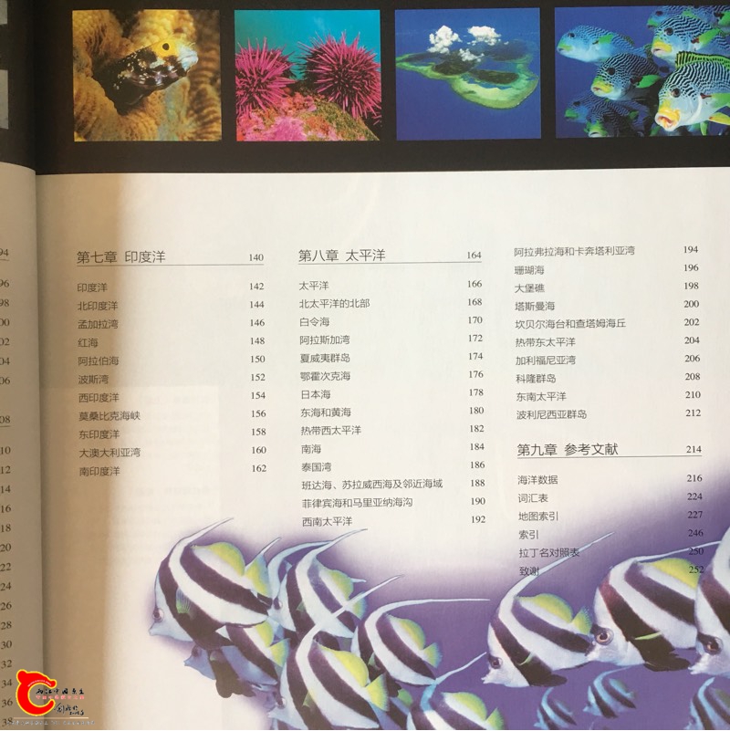 093832y44fp0pzbf87tv30.jpg