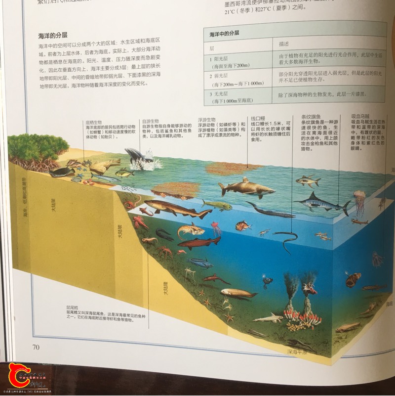 093855jgrcv4vo8gf4gcoi.jpg