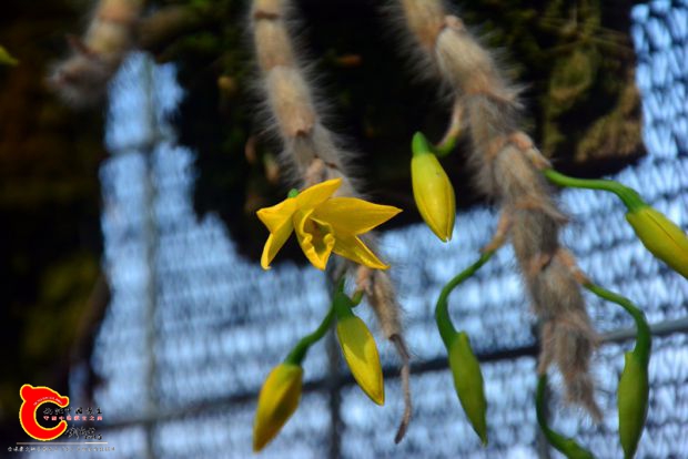 DSC_3067.JPG