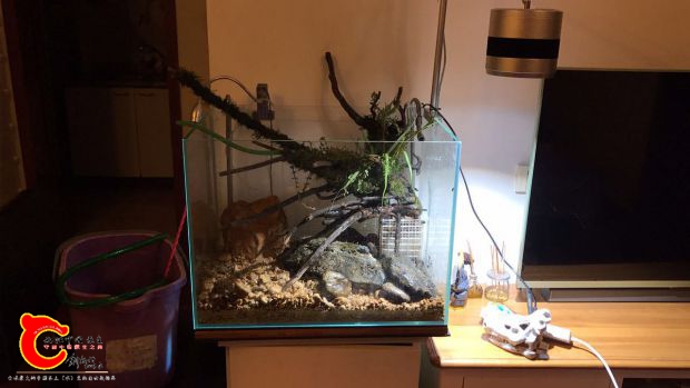 吃饱了就得干活啊，翻缸