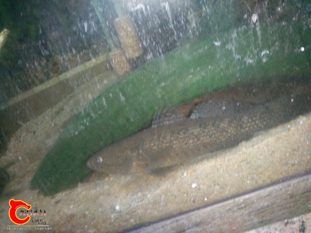 IMG20170505013611.jpg
