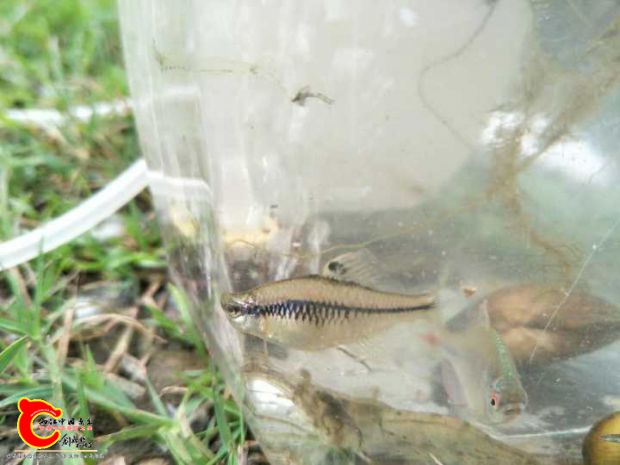 202607dpmueh06aucuytya.jpg