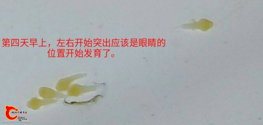 084911n0icckok0o0i888b.jpg