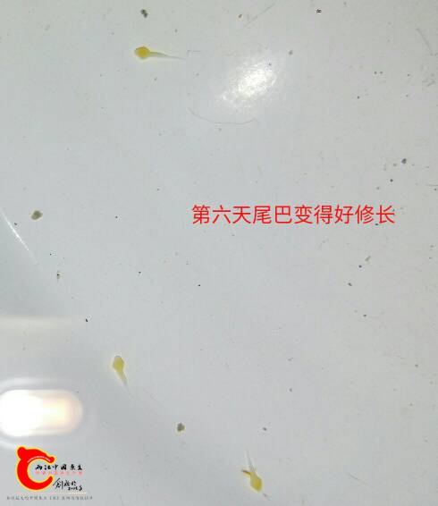 074934a41xe5mz8hzh71kd.jpg
