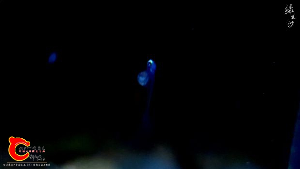 20170423_072736.jpg