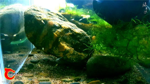 20170509_230210.jpg