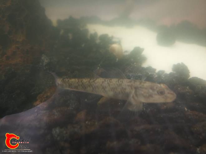 140151sewh5etwae5w0wpf.jpg