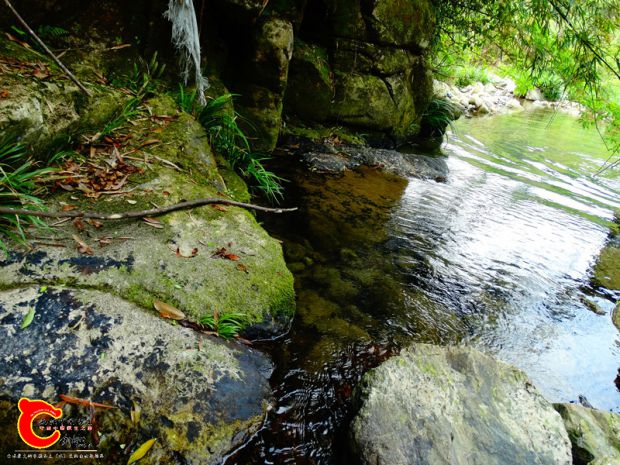 DSC04187.JPG