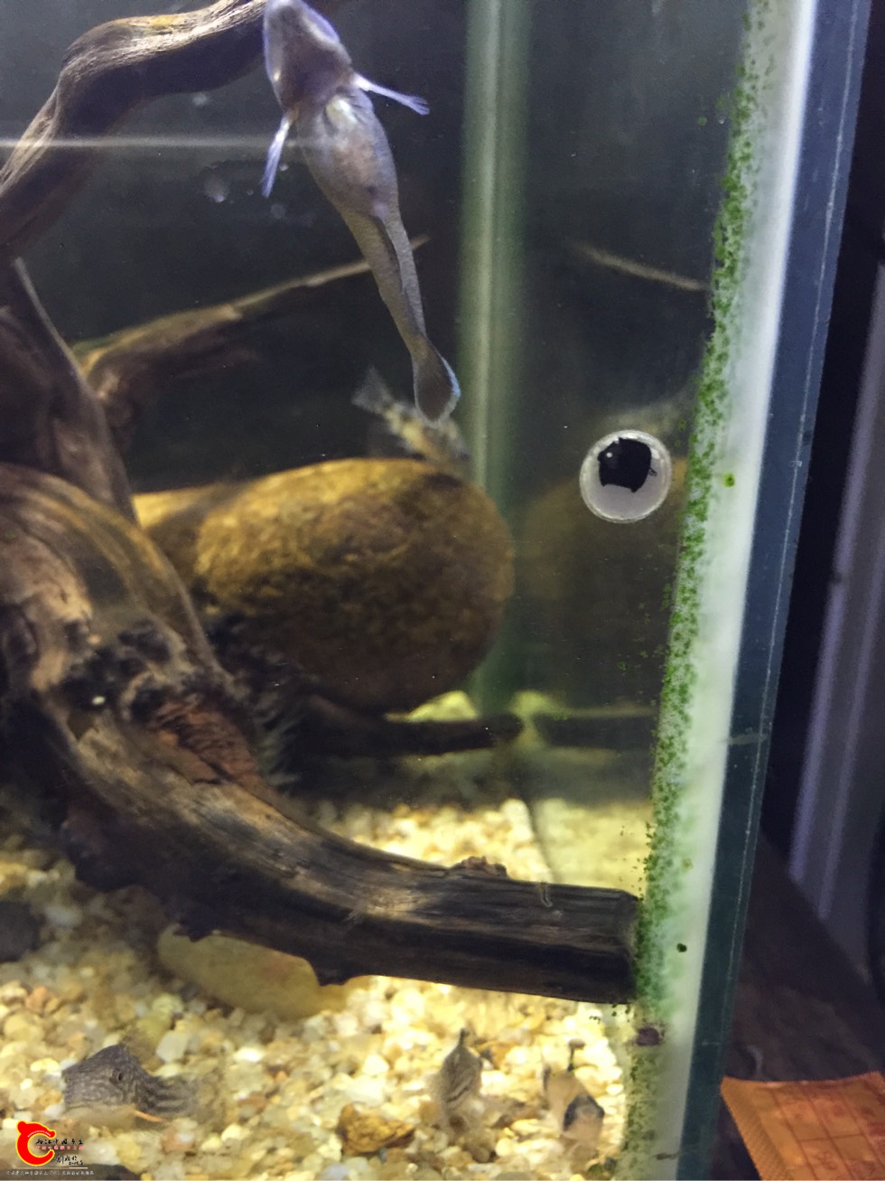 030932jv2n12s20vfr1qd6.jpg