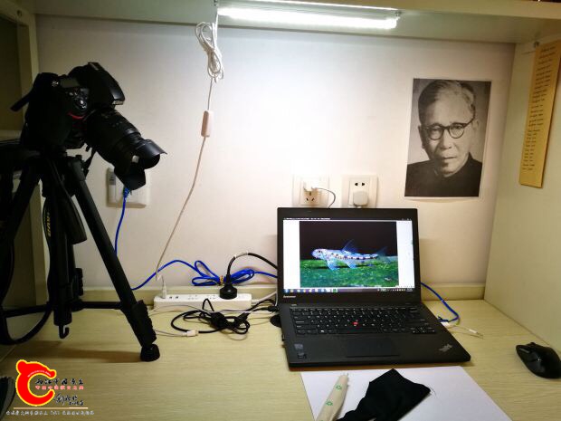 120814r3lpfl4pbofugpzm.jpg