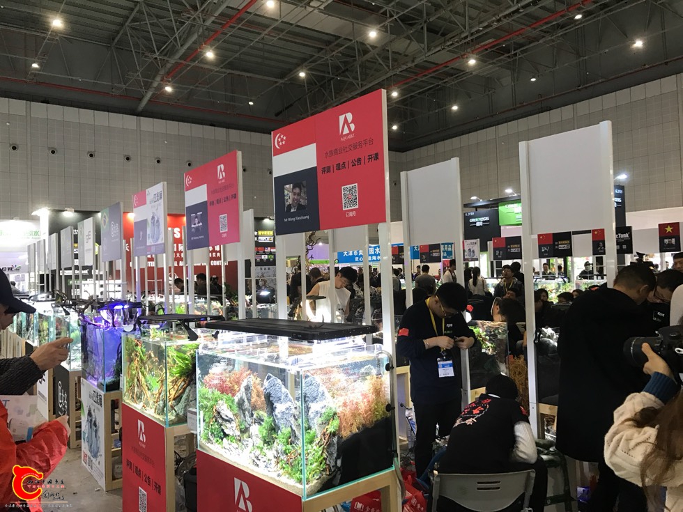 170530dn4vzu49154jh12h.jpg