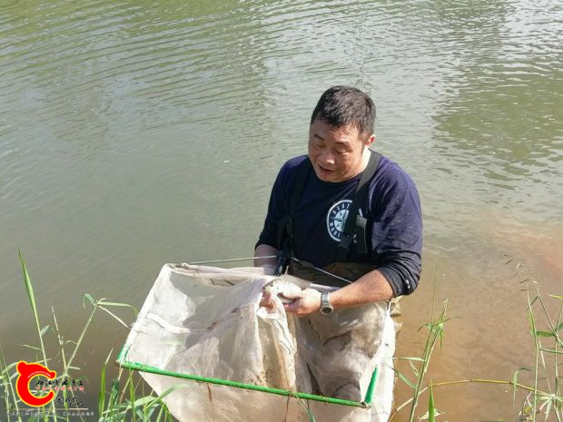 大太陽底下曬得快昏了撈到吳郭魚也只能搖頭