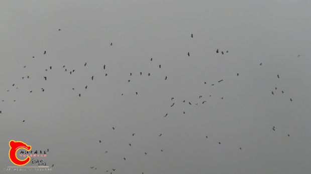 IMG_0084_副本.jpg