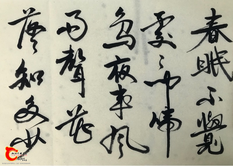 121319hr5nib3bn25qinj1.jpg