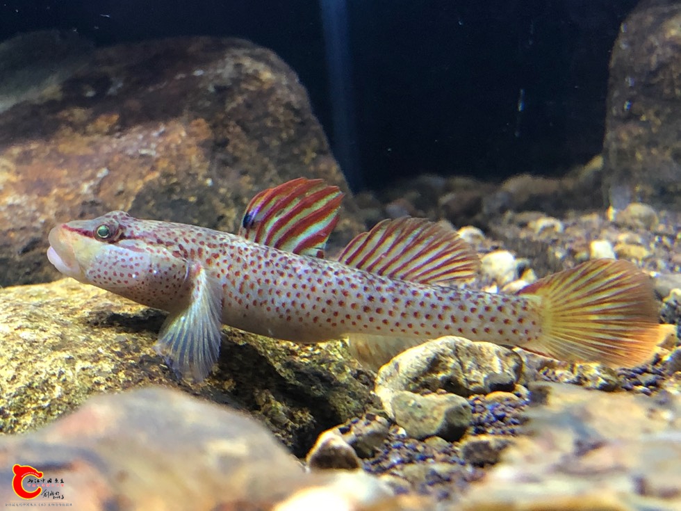 171440r5ate1scei4ec4p1.jpg