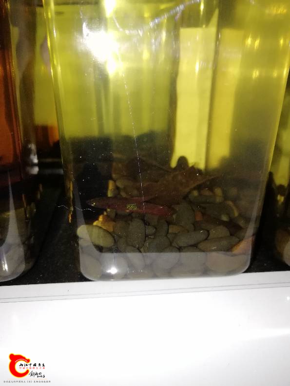 010557tacac0ml3c9etea9.jpg