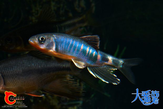 DSC_5309.jpg