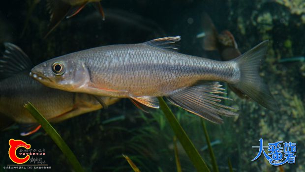 DSC_5318.JPG