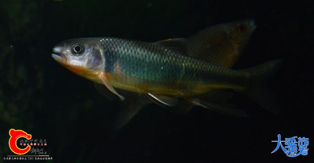 DSC_5333.JPG