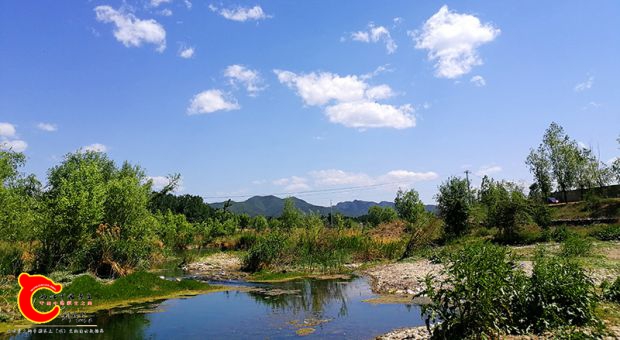 先来几张生境图，三个不同的地方，原生鱼的种类在北京算是多的，其中包含着马口、宽鳍鱲、点纹银鮈、小鳔鮈 ...