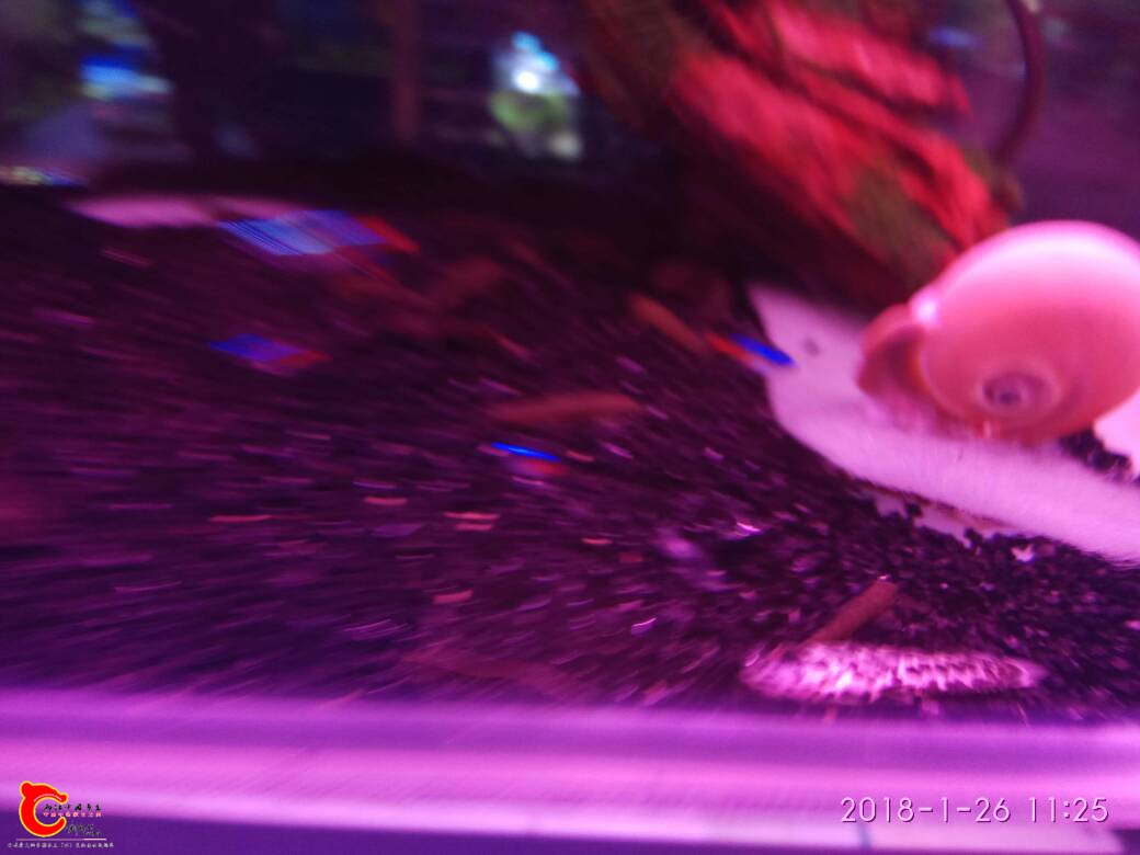 163058whbh7nhn8l4nljh6.jpg