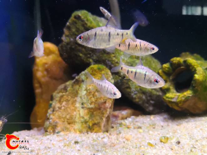 220151pc4c0l6304w9rj6l.jpg