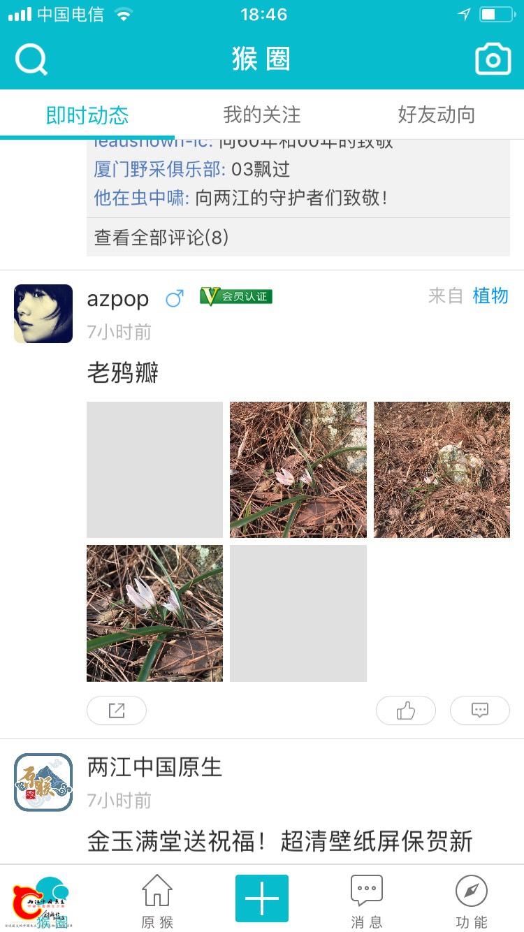 184833sljcp2p6jffjjdld.jpg