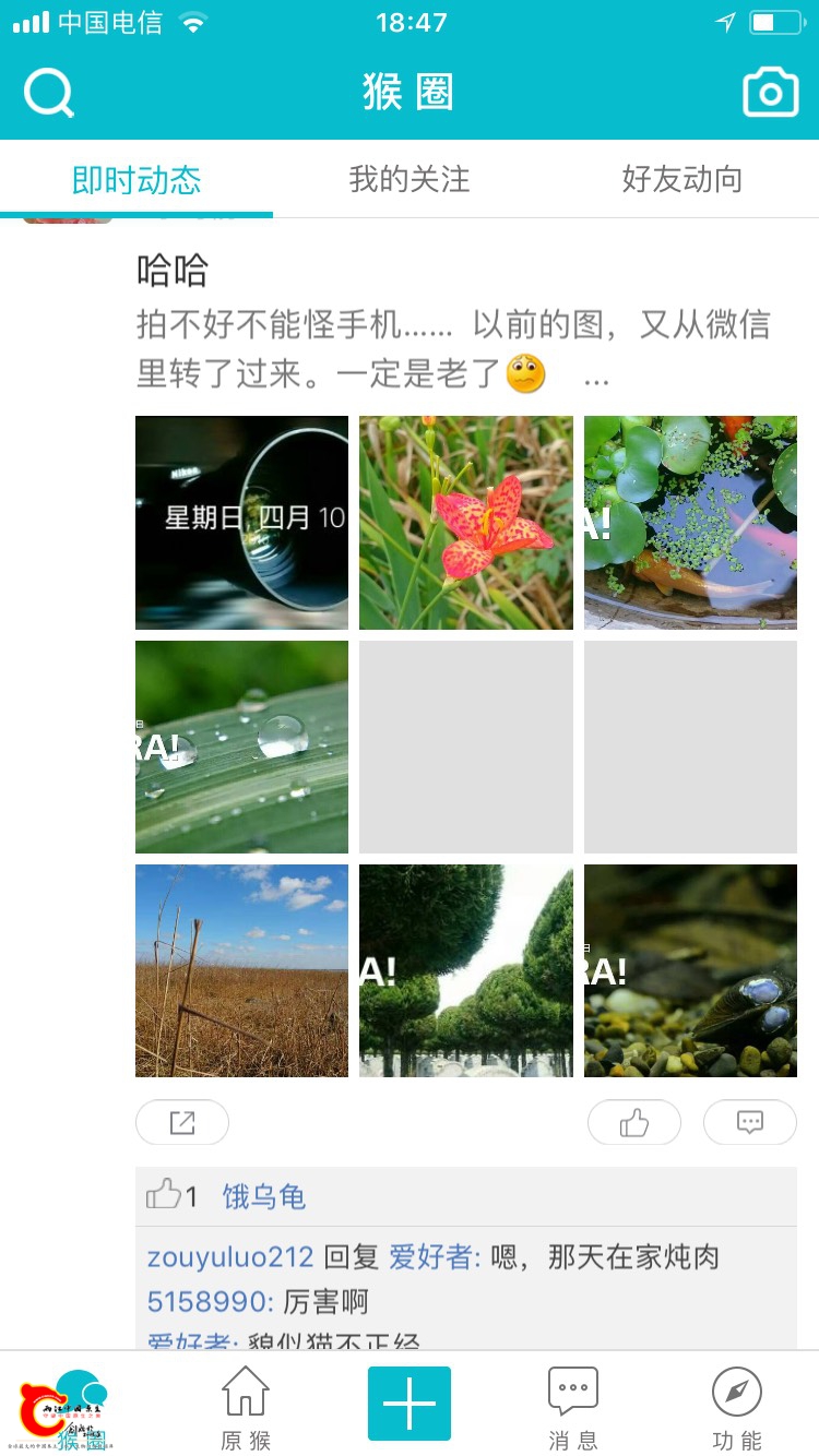 184834ybhmopbp813wppm0.jpg