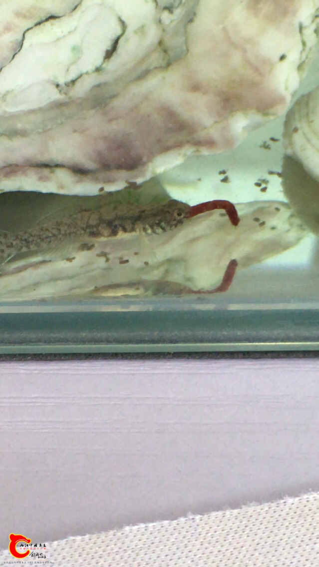 170634cc000s57908somc7.jpg