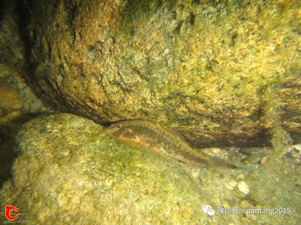 02ab5154a0eaf84d96f49fd8feebf8f9.jpg