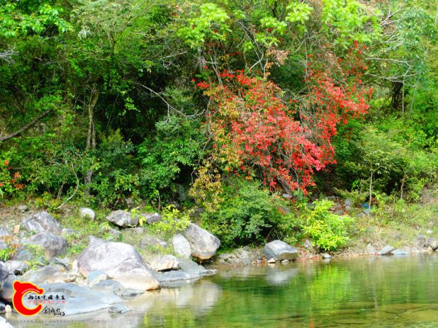 DSC00093_副本.jpg