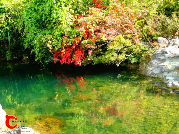 DSC00114_副本.jpg