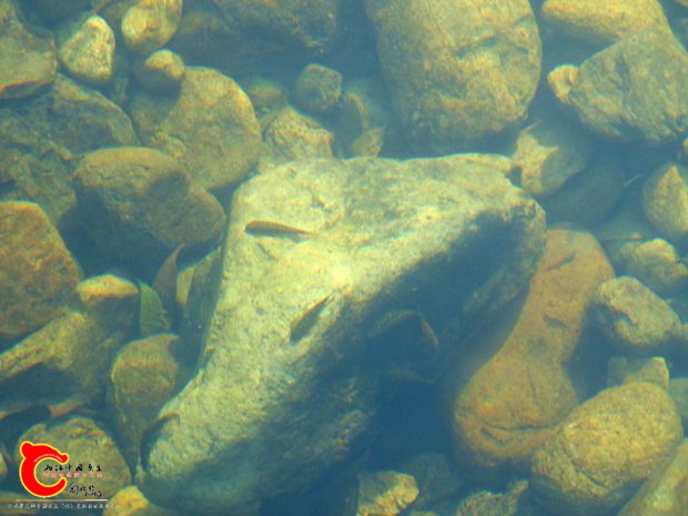 DSC00115_副本.jpg