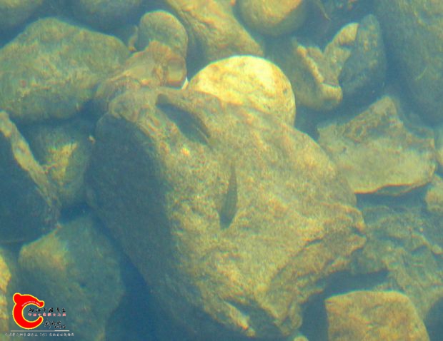 DSC00116_副本.jpg