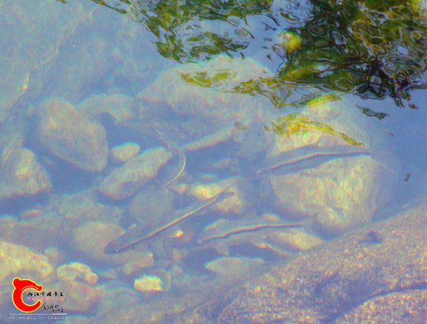 DSC00118_副本.jpg